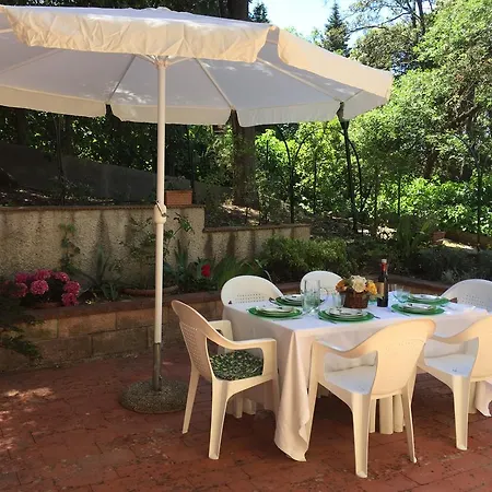 White In With Pool דירה *